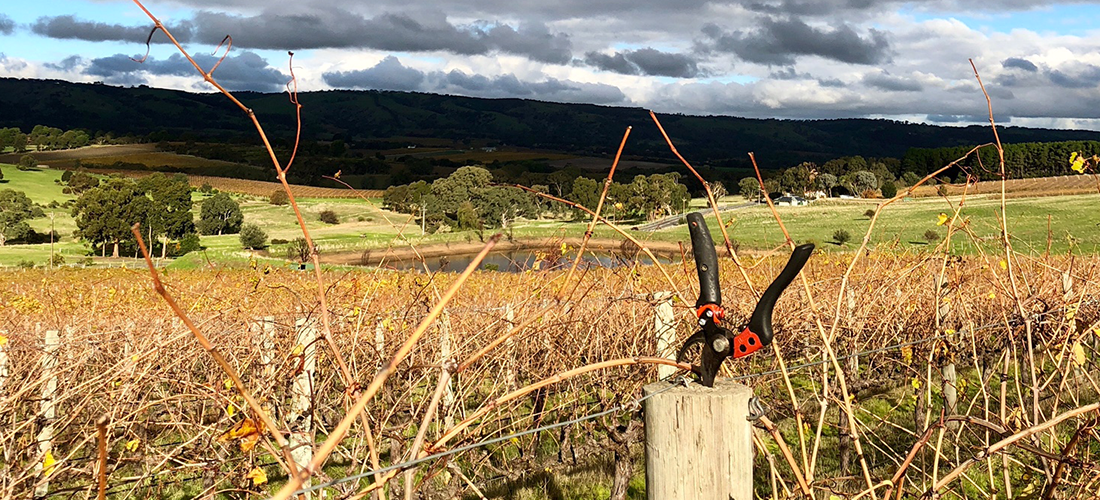 Blewitt Springs Co landscape